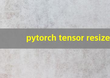 pytorch tensor resize